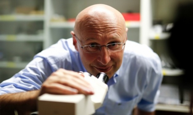 625.0.560.350.160.300.053.800.668.160.90