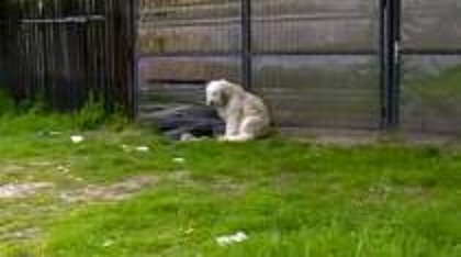 625.117.560.350.160.300.053.800.210.160.70 (2)