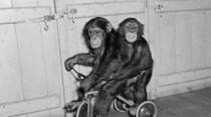 625.117.560.350.160.300.053.800.210.160.70 (2)