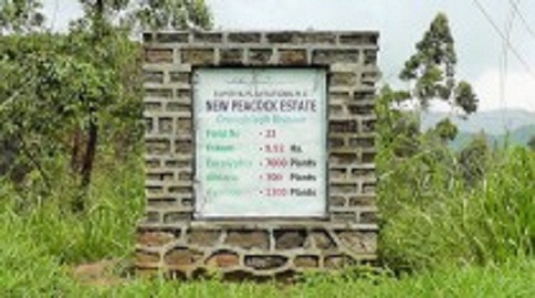 625.117.560.350.160.300.053.800.210.160.90