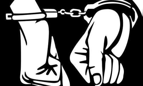 1249295366Untitled-1