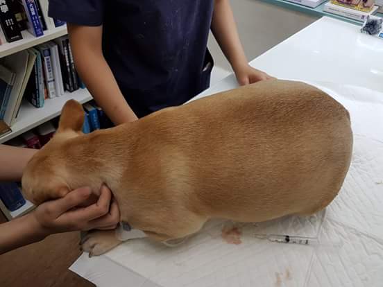 13406967_1213705442003446_1811398573836828939_n