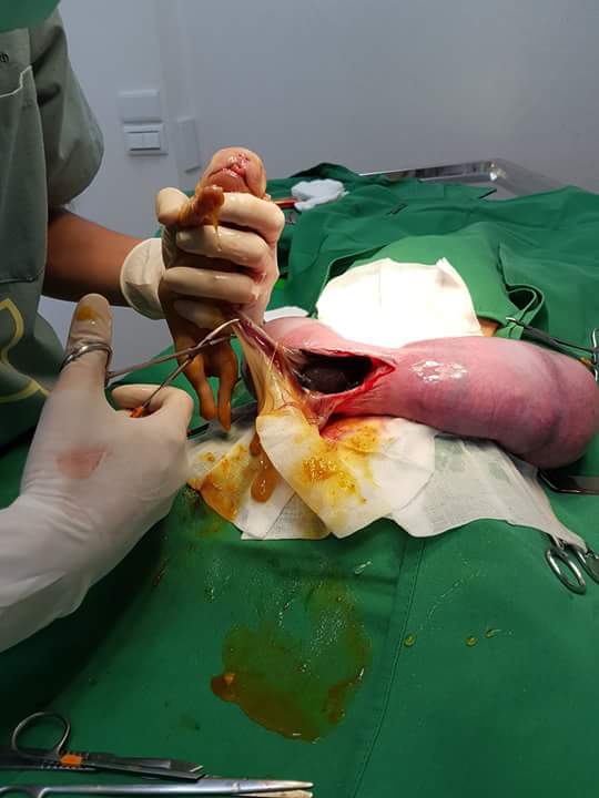 13413094_1213706595336664_473790607124529972_n