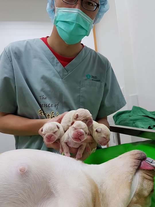 13413102_1213707365336587_407176803165431728_n