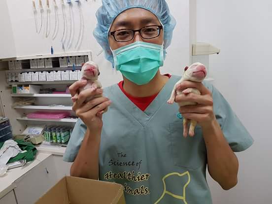 13434775_1213707295336594_4264527562234564733_n