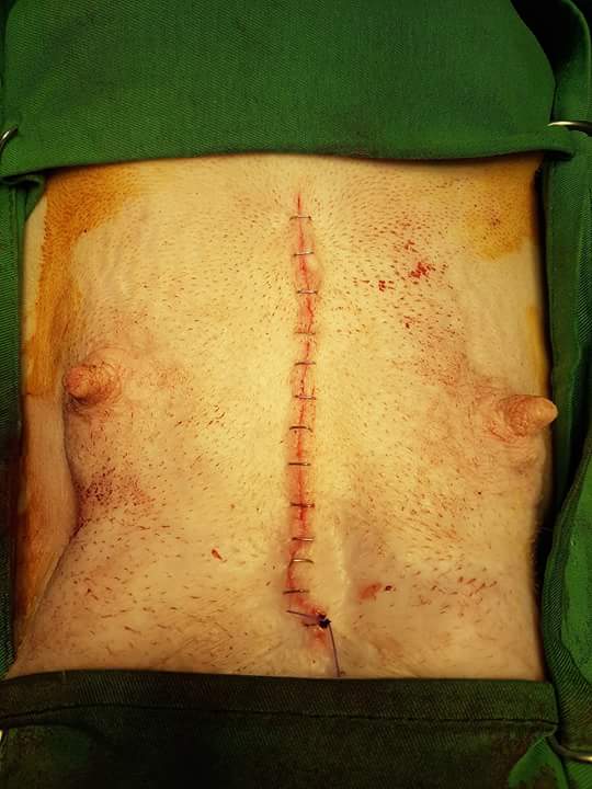 13434889_1213707155336608_8430671155509279873_n