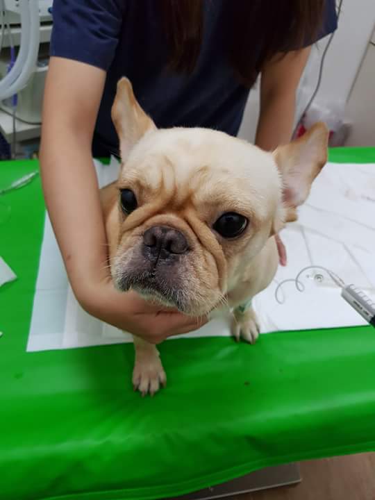 13450764_1213705645336759_4359420346556652488_n