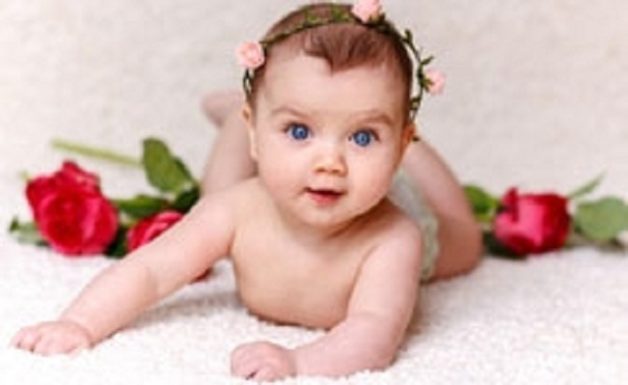 baby_handragai_001.w245