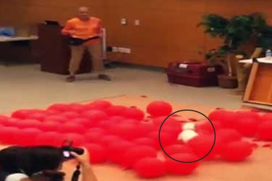 dog_balloon_002.w540