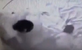 mother_beating_son_001.w245