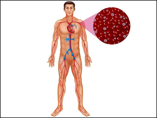 19-1468917876-thisnewshortswillhelpyoutogetbettererectionandorgasm1