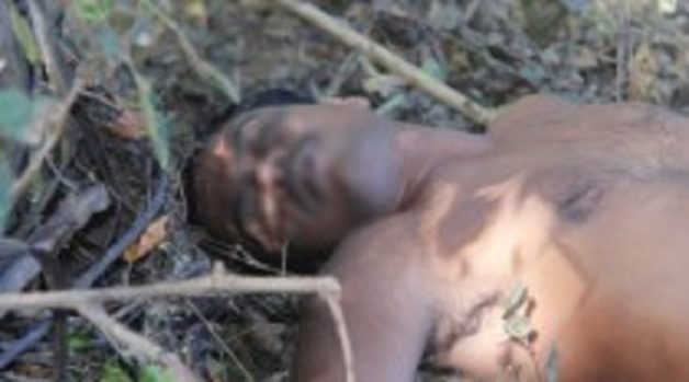 625.117.560.350.160.300.053.800.210.160.90 (1)