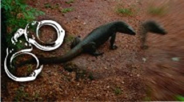 625.117.560.350.160.300.053.800.210.160.90 (1)