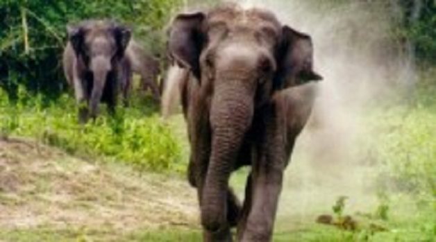 625.117.560.350.160.300.053.800.210.160.90 (1)