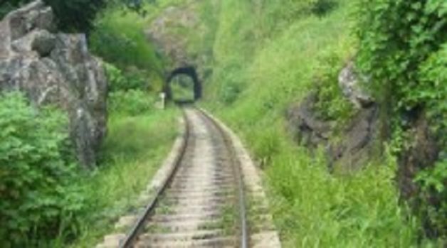 625.117.560.350.160.300.053.800.210.160.90 (2)