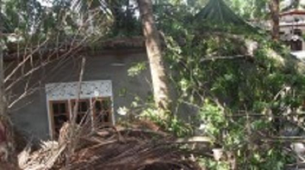 625.117.560.350.160.300.053.800.210.160.90 (2)