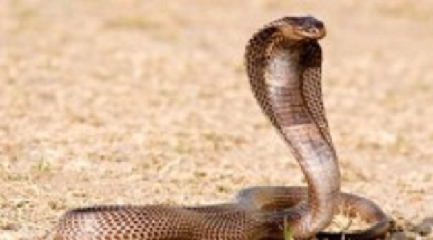 625.117.560.350.160.300.053.800.210.160.90 (2)