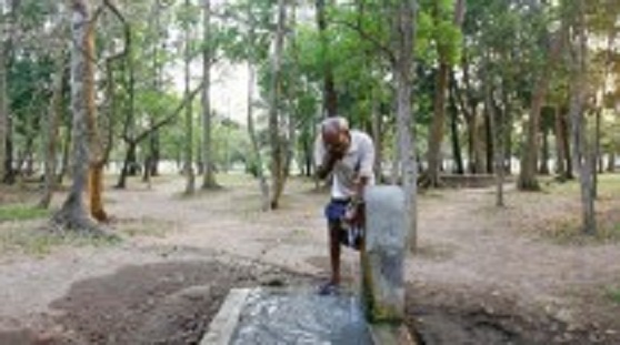 625.117.560.350.160.300.053.800.210.160.90 (2)