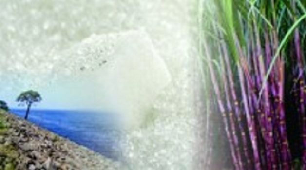 625.117.560.350.160.300.053.800.210.160.90