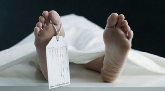 625.256.560.350.160.300.053.800.461.160.90