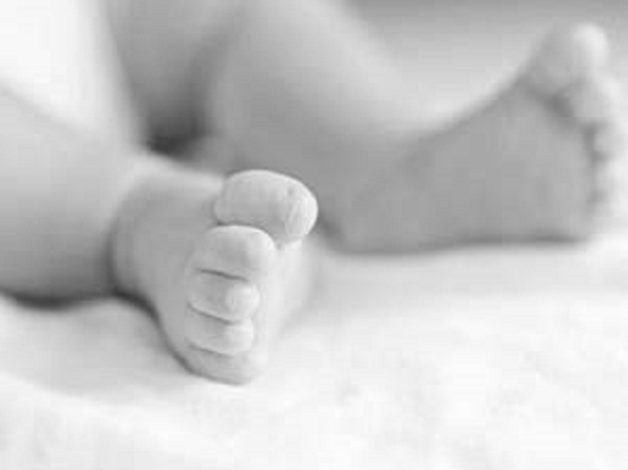 7e075bb2-25d5-40bc-9925-73ea48d34e6a_S_secvpf.gif-300x225