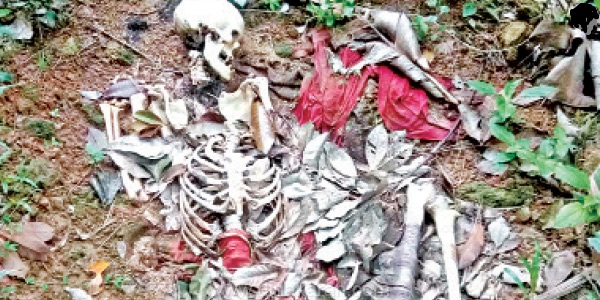 Daily_News_4591137170792