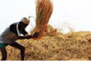 article_1468747922-index