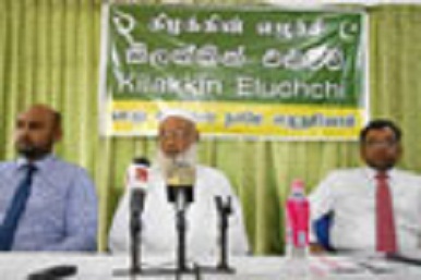 article_1469159724-Pho