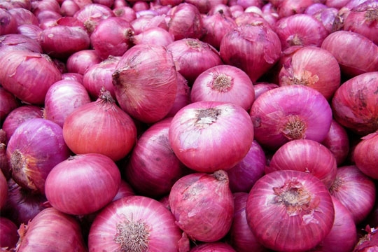 onion_002.w540