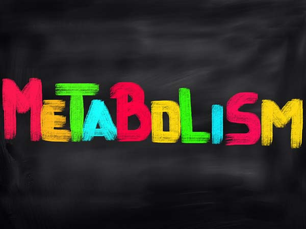 protein-15-1468576320