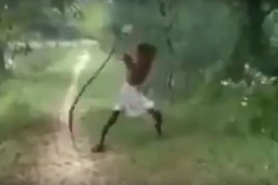 snake_punishment_002.w540