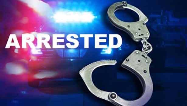 201608102101380272_8-arrested-for-thrashing-Dalits-trying-to-skin-dead-cow_SECVPF