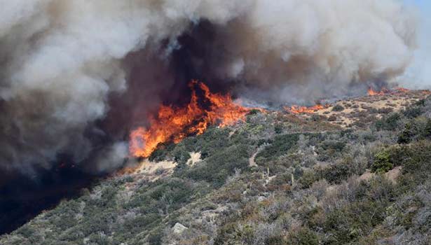 201608171016290589_Southern-California-orders-82000-people-to-evacuate-over_SECVPF