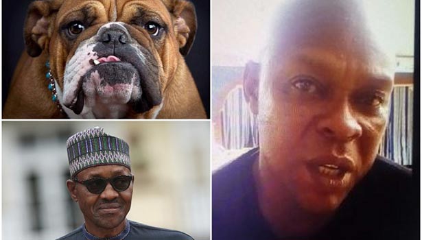 201608251214268603_Nigerian-man-faces-charges-for-naming-his-dog-after_SECVPF