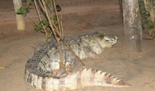 625.0.560.320.160.600.053.800.668.160.90-11-300x176