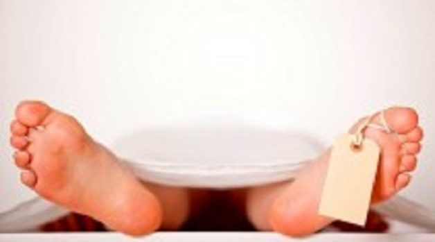 625.117.560.350.160.300.053.800.210.160.90 (1)