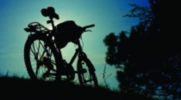 625.117.560.350.160.300.053.800.210.160.90 (2)