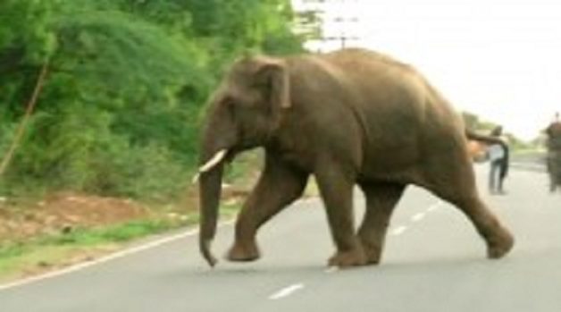 625.117.560.350.160.300.053.800.210.160.90 (2)