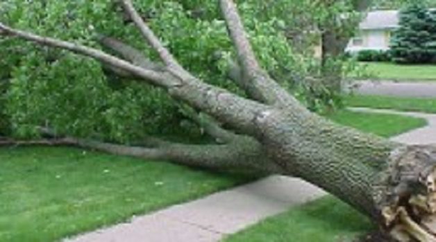 625.117.560.350.160.300.053.800.210.160.90 (2)