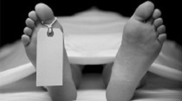 625.117.560.350.160.300.053.800.210.160.90