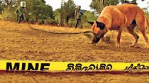 625.117.560.350.160.300.053.800.210.160.90 (3)