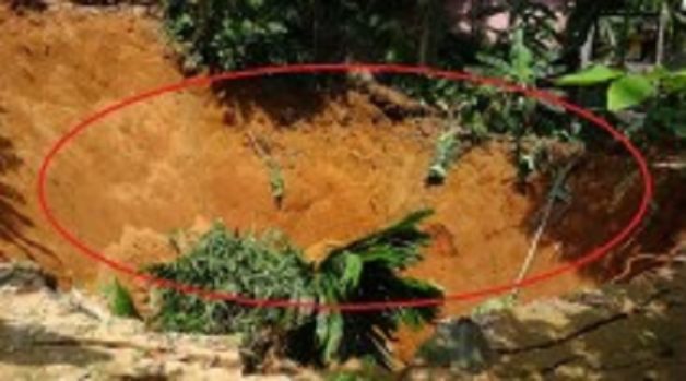 625.117.560.350.160.300.053.800.210.160.90 (5)