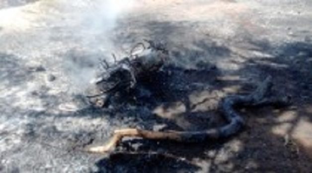 625.117.560.350.160.300.053.800.210.160.90 (5)