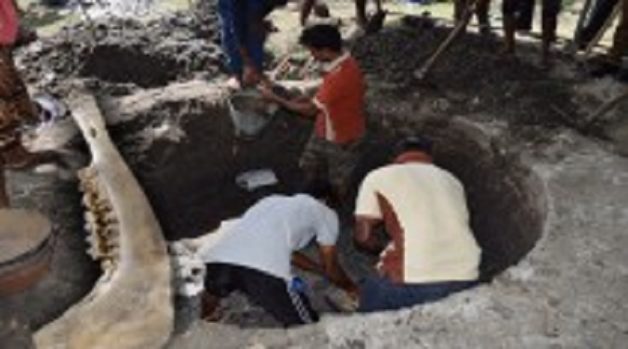 625.117.560.350.160.300.053.800.210.160.90 (5)