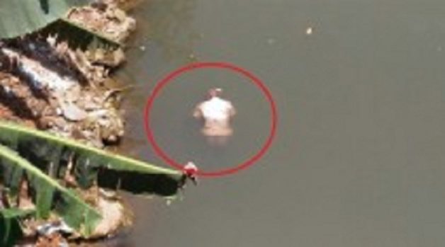 625.117.560.350.160.300.053.800.210.160.90 (6)