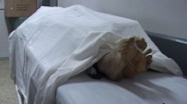 625.117.560.350.160.300.053.800.210.160.90 (6)