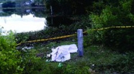 625.117.560.350.160.300.053.800.210.160.90