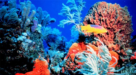 625.256.560.350.160.300.053.800.461.160.90