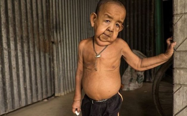 bo11-735x459-31ypynnqu6rw4sn7zbwg00