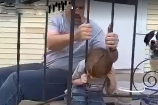 child_insult_dad_002.w540 (1)